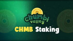 Chumbi Valley Staking CHMB