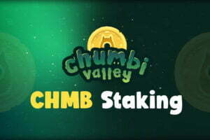 Chumbi Valley Staking CHMB
